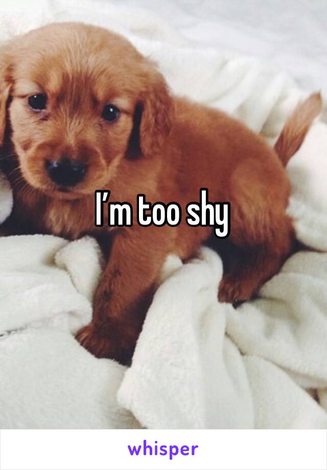 I’m too shy