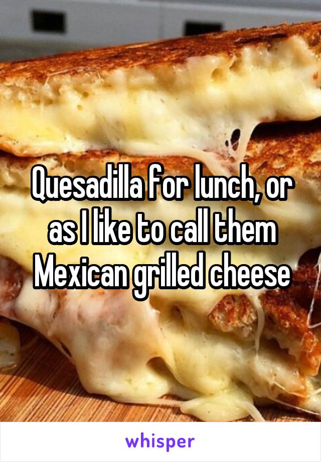 Quesadilla for lunch, or as I like to call them Mexican grilled cheese