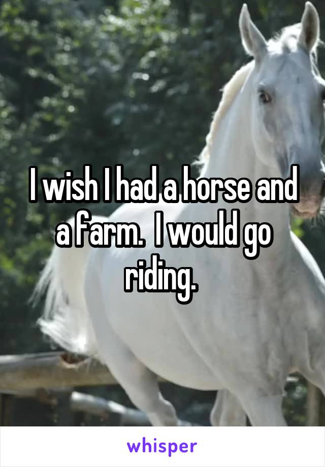 I wish I had a horse and a farm.  I would go riding. 