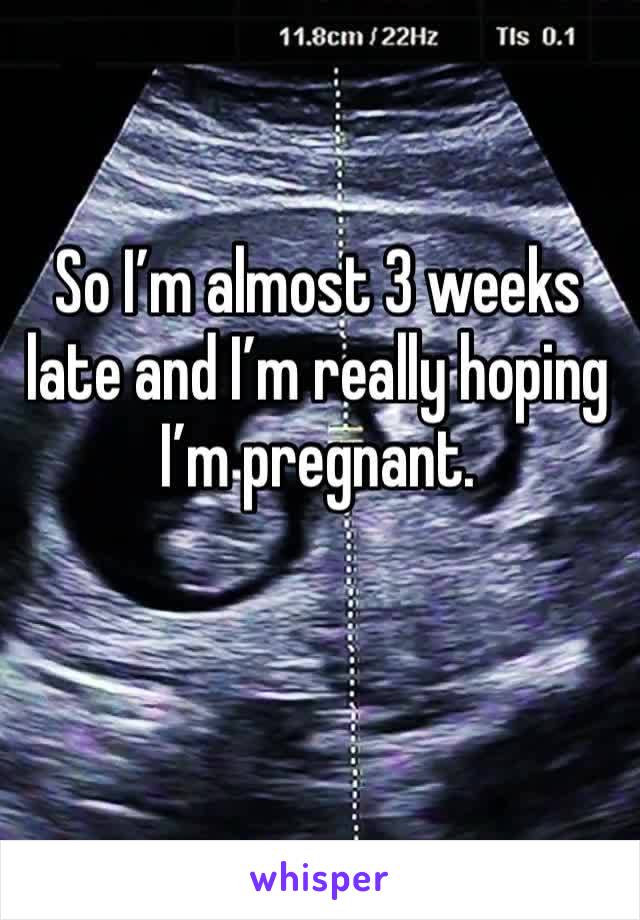 So I’m almost 3 weeks late and I’m really hoping I’m pregnant. 