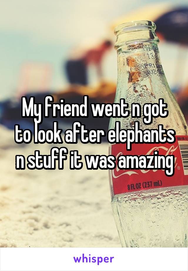 My friend went n got to look after elephants n stuff it was amazing