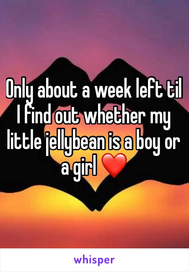 Only about a week left til I find out whether my little jellybean is a boy or a girl ❤️