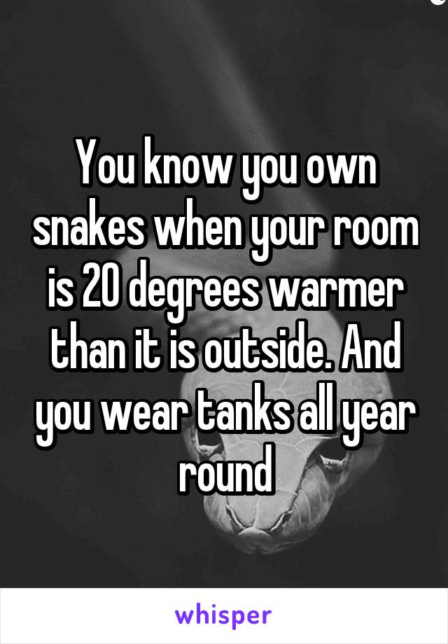 You know you own snakes when your room is 20 degrees warmer than it is outside. And you wear tanks all year round