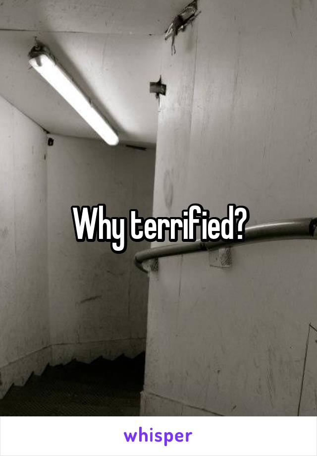 Why terrified?