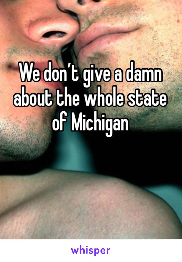 We don’t give a damn about the whole state of Michigan 