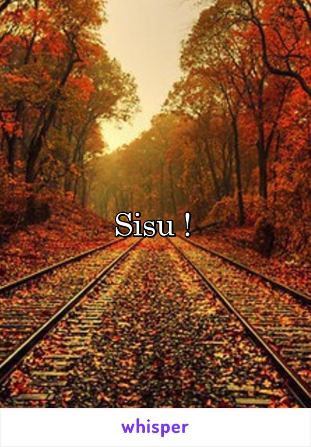 Sisu ! 