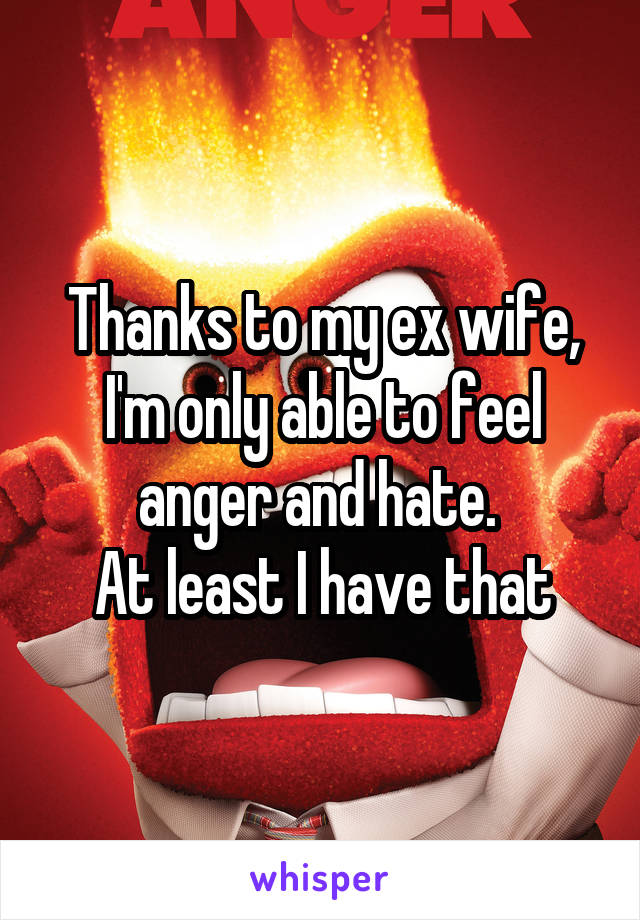 Thanks to my ex wife, I'm only able to feel anger and hate. 
At least I have that