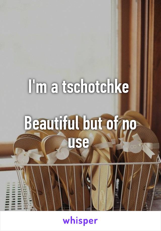 I'm a tschotchke 

Beautiful but of no use 