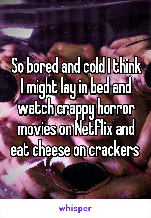 So bored and cold I think I might lay in bed and watch crappy horror movies on Netflix and eat cheese on crackers 