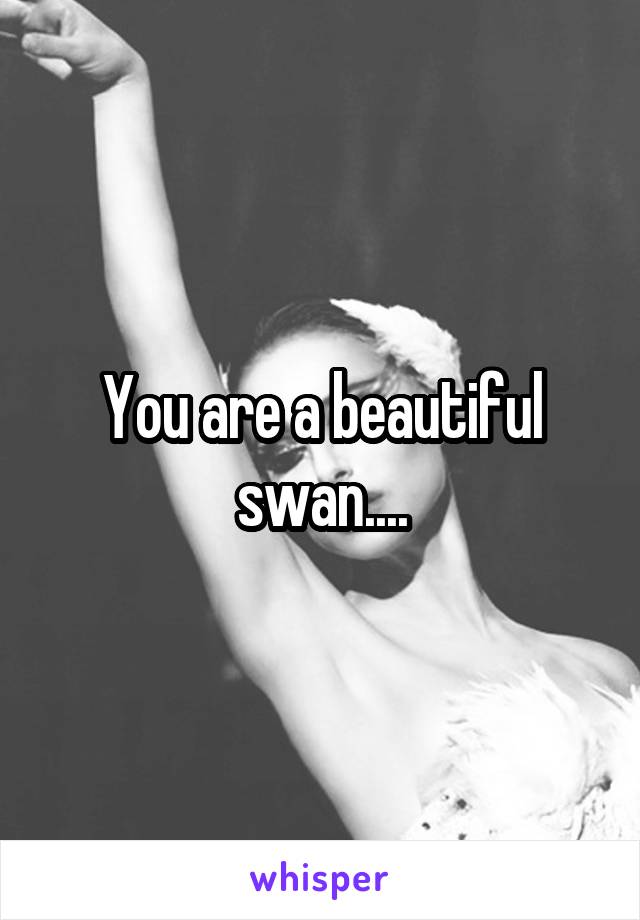 You are a beautiful swan....