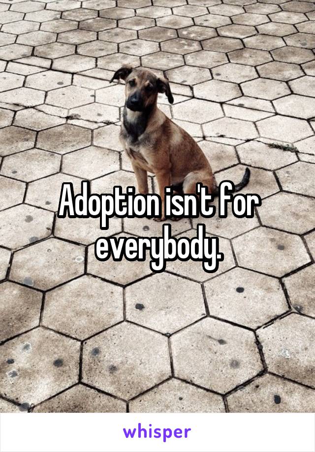 Adoption isn't for everybody.