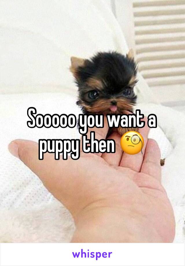 Sooooo you want a puppy then 🧐