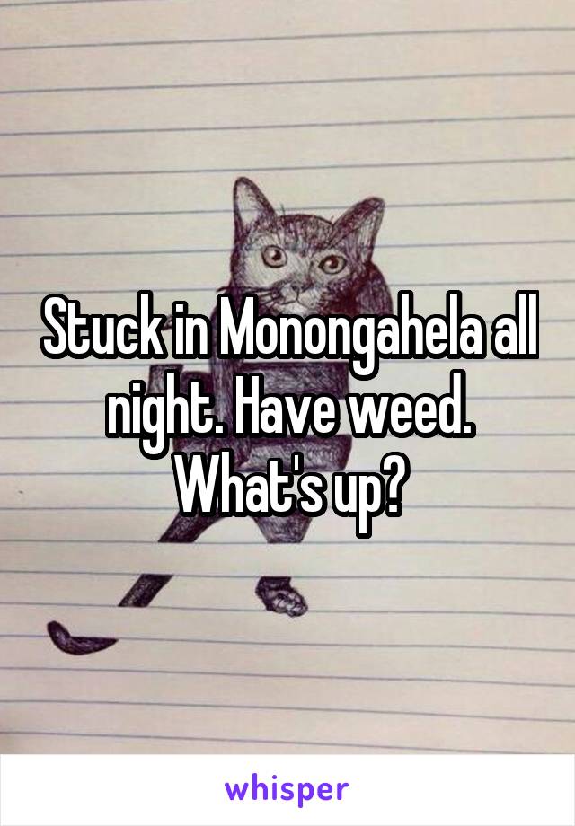 Stuck in Monongahela all night. Have weed. What's up?