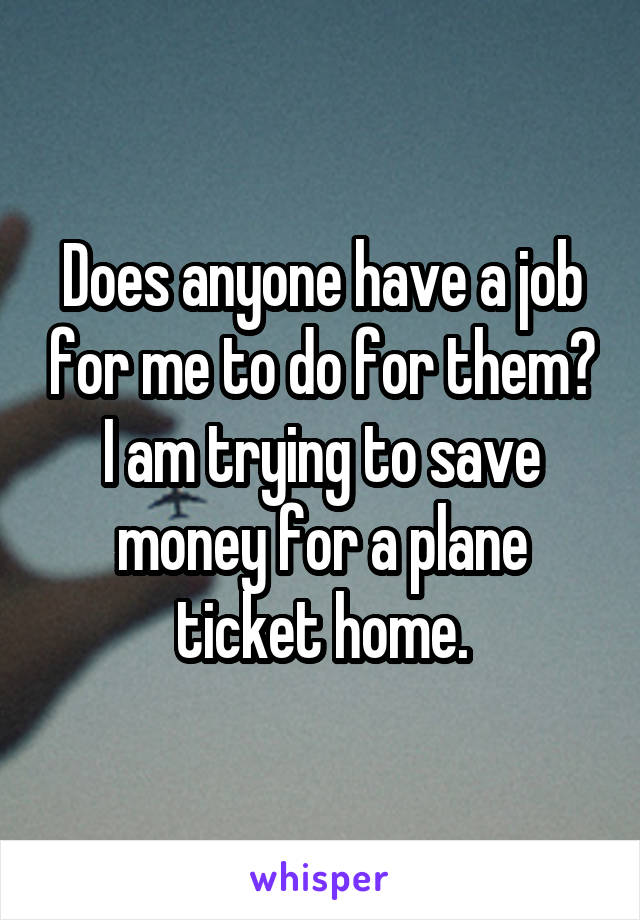 Does anyone have a job for me to do for them? I am trying to save money for a plane ticket home.