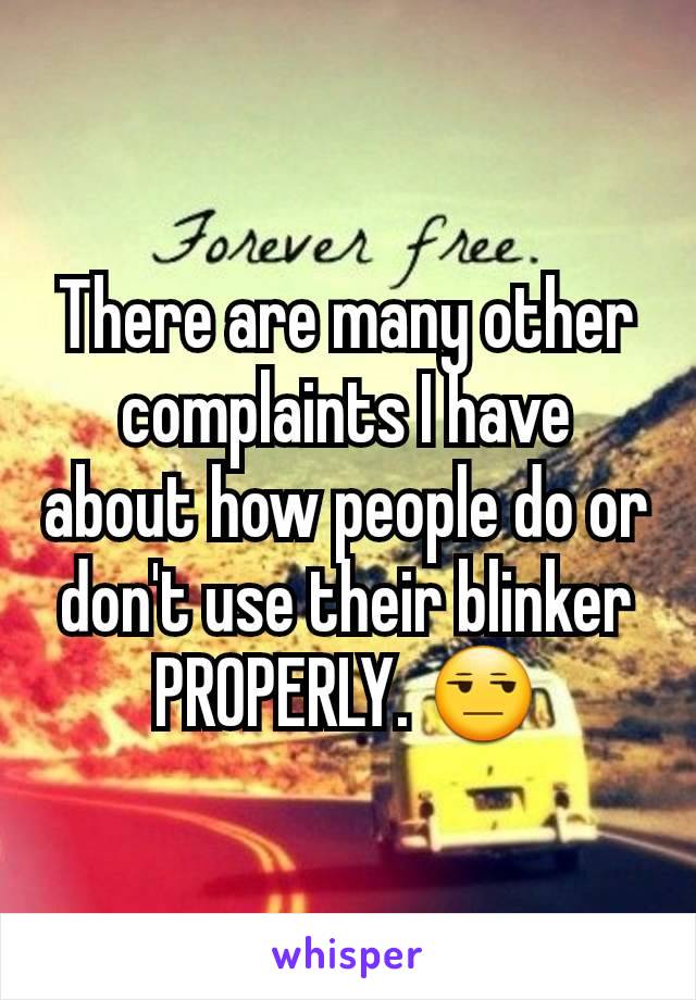 There are many other complaints I have about how people do or don't use their blinker PROPERLY. 😒