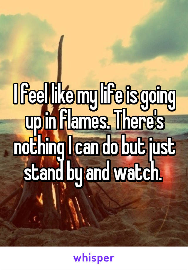 I feel like my life is going up in flames. There's nothing I can do but just stand by and watch. 