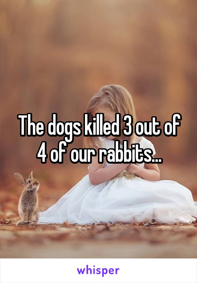 The dogs killed 3 out of 4 of our rabbits...