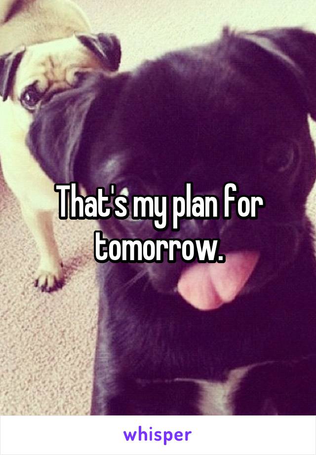 That's my plan for tomorrow.