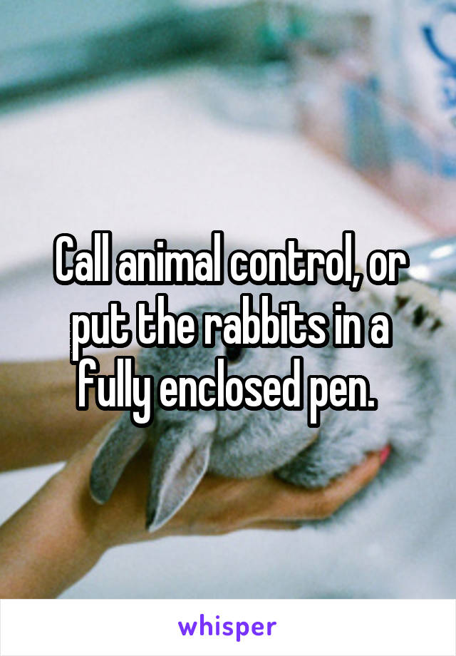 Call animal control, or put the rabbits in a fully enclosed pen. 