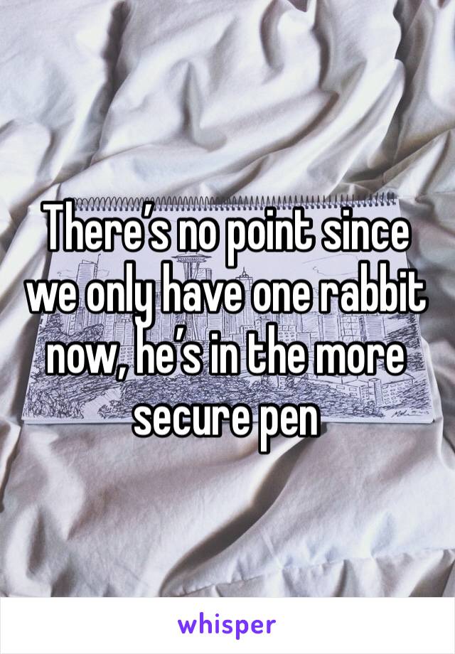 There’s no point since we only have one rabbit now, he’s in the more secure pen