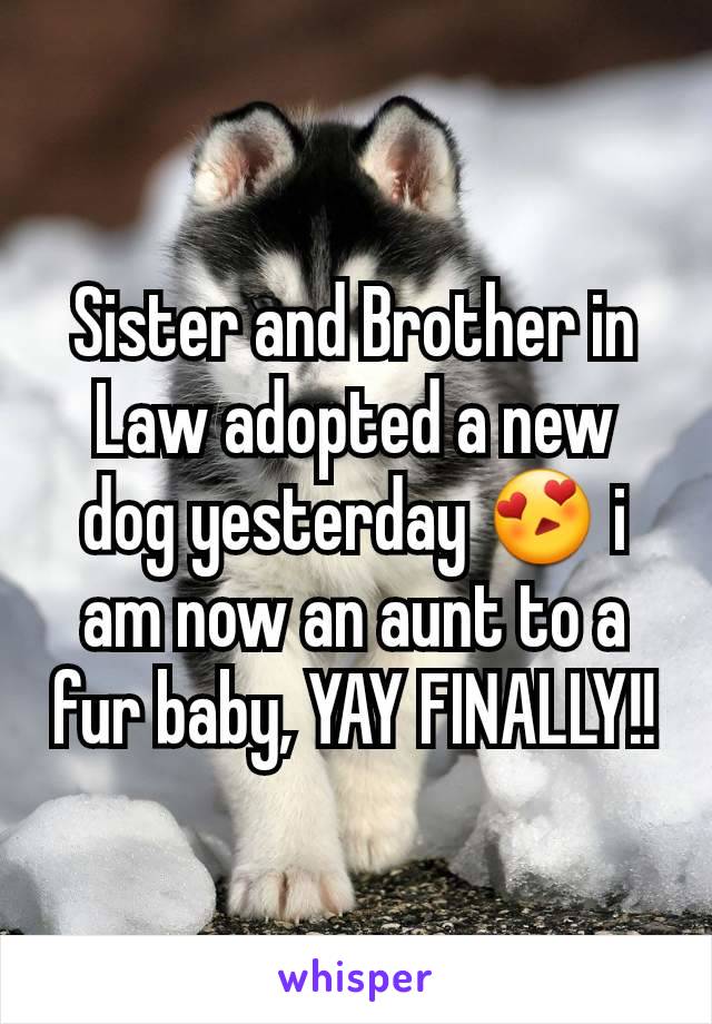 Sister and Brother in Law adopted a new dog yesterday 😍 i am now an aunt to a fur baby, YAY FINALLY!!