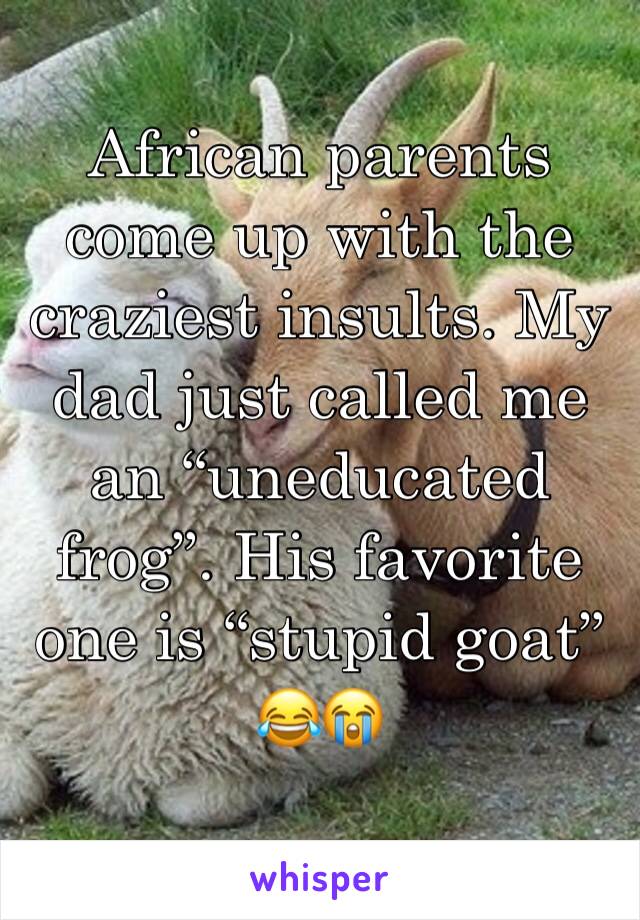 African parents come up with the craziest insults. My dad just called me an “uneducated frog”. His favorite one is “stupid goat” 😂😭