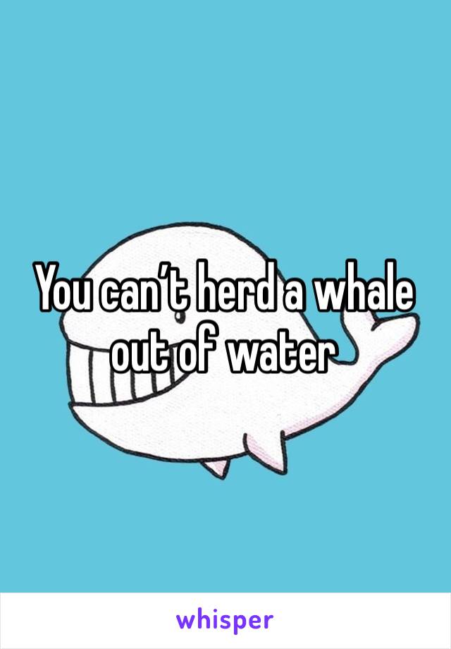 You can’t herd a whale out of water