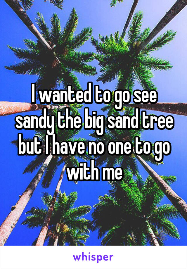 I wanted to go see sandy the big sand tree but I have no one to go with me