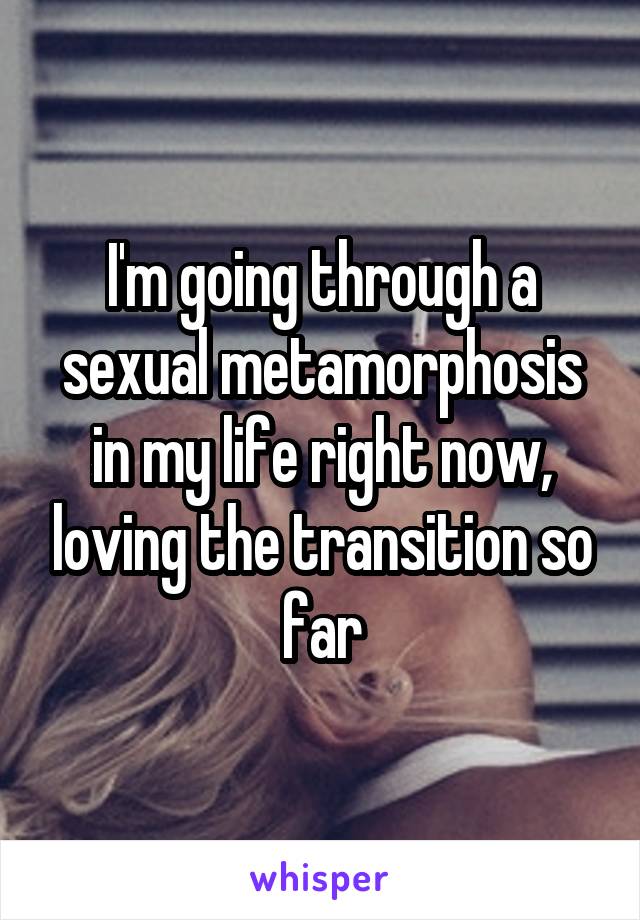 I'm going through a sexual metamorphosis in my life right now, loving the transition so far