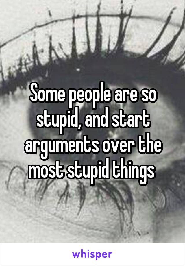 Some people are so stupid, and start arguments over the most stupid things 