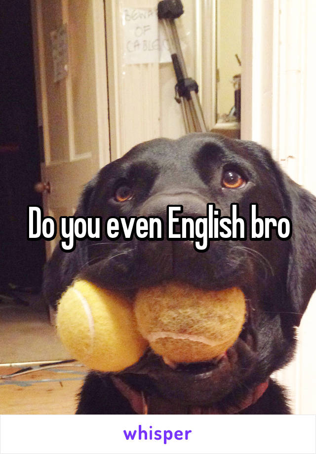 Do you even English bro