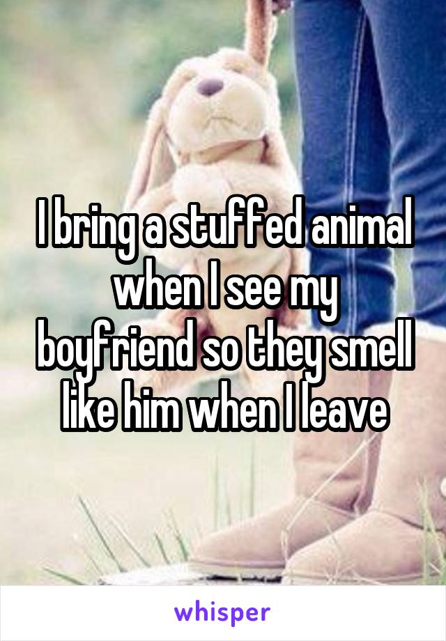 I bring a stuffed animal when I see my boyfriend so they smell like him when I leave