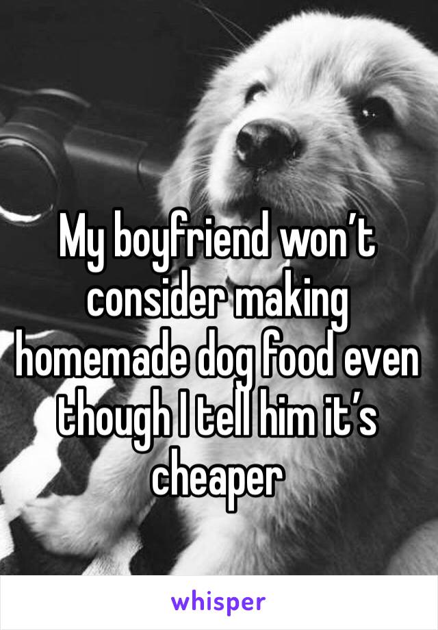 My boyfriend won’t consider making homemade dog food even though I tell him it’s cheaper