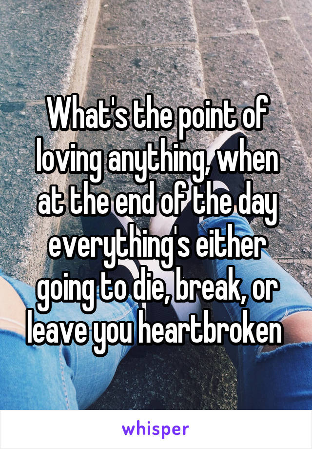 What's the point of loving anything, when at the end of the day everything's either going to die, break, or leave you heartbroken 