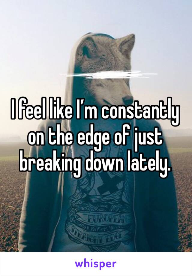 I feel like I’m constantly on the edge of just breaking down lately. 