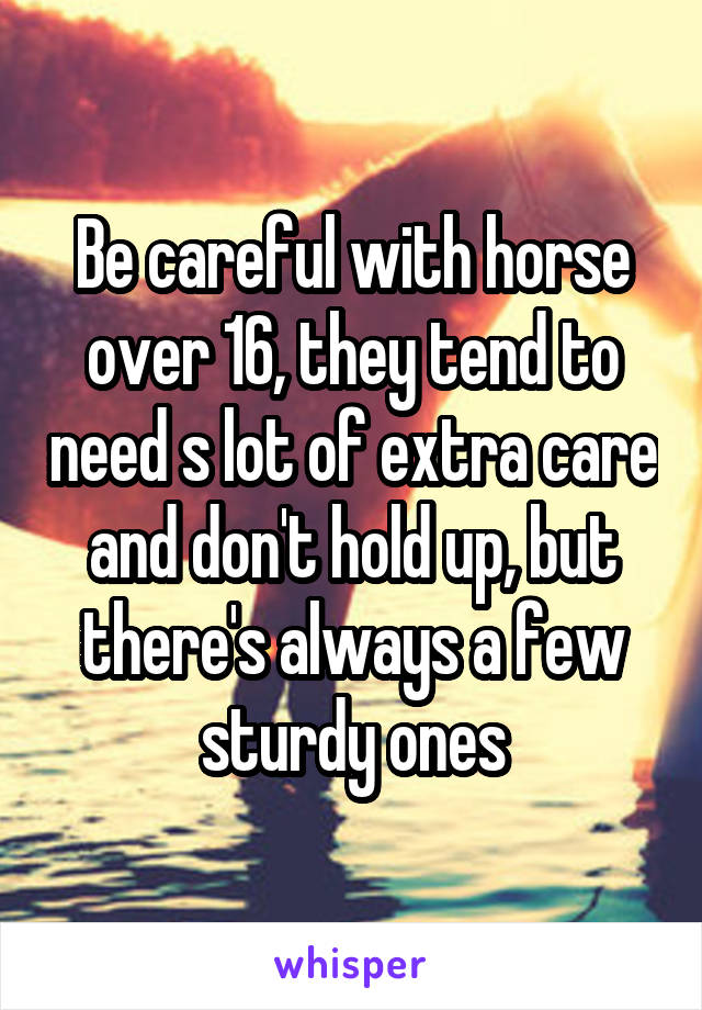 Be careful with horse over 16, they tend to need s lot of extra care and don't hold up, but there's always a few sturdy ones