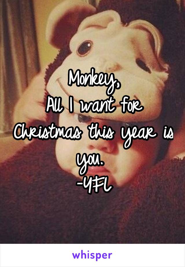 Monkey,
All I want for Christmas this year is you. 
-YFL