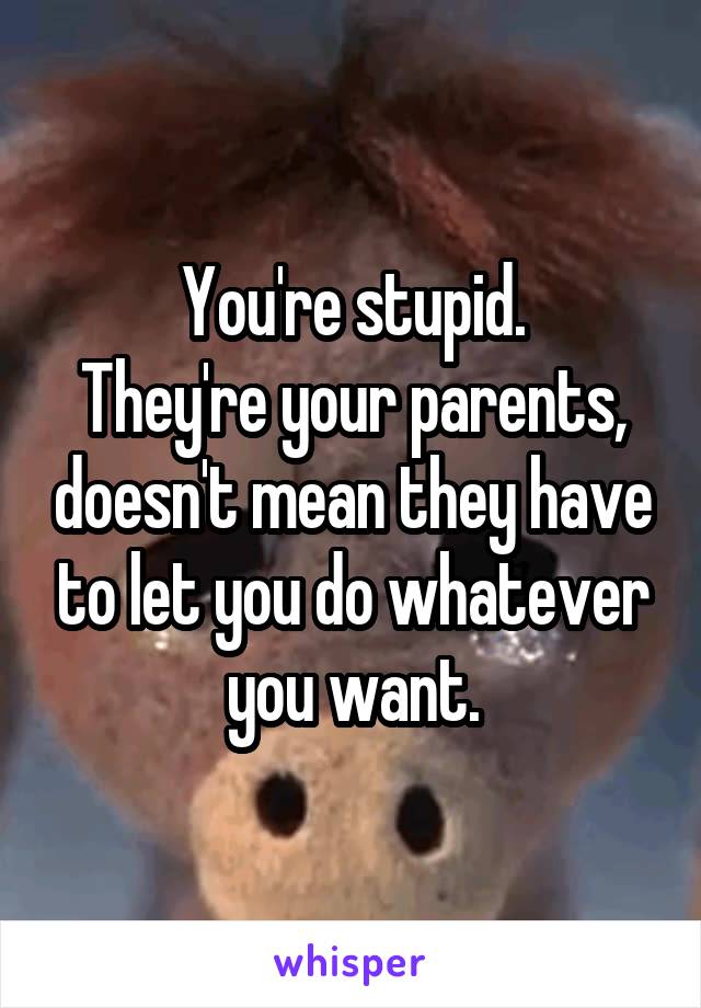You're stupid.
They're your parents, doesn't mean they have to let you do whatever you want.