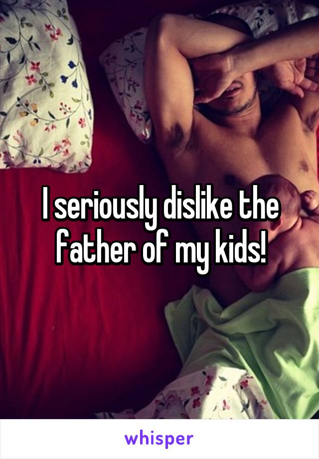 I seriously dislike the father of my kids!