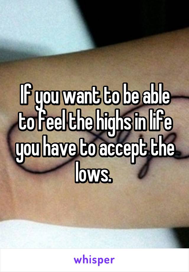 If you want to be able to feel the highs in life you have to accept the lows. 