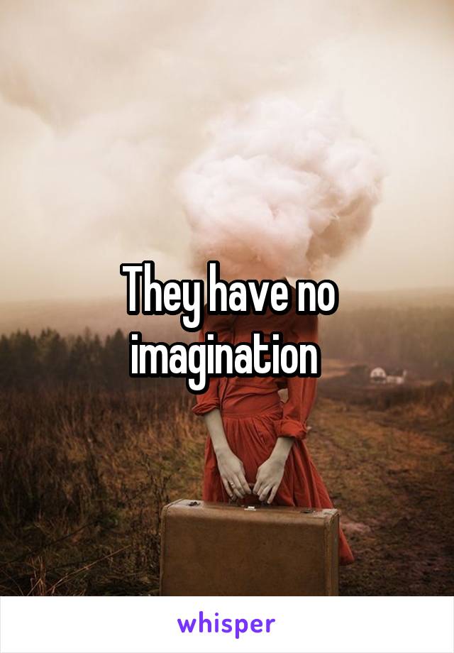 They have no imagination 