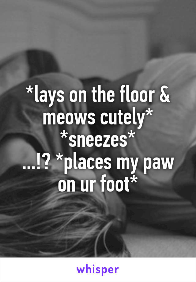 *lays on the floor & meows cutely*
*sneezes*
...!? *places my paw on ur foot*