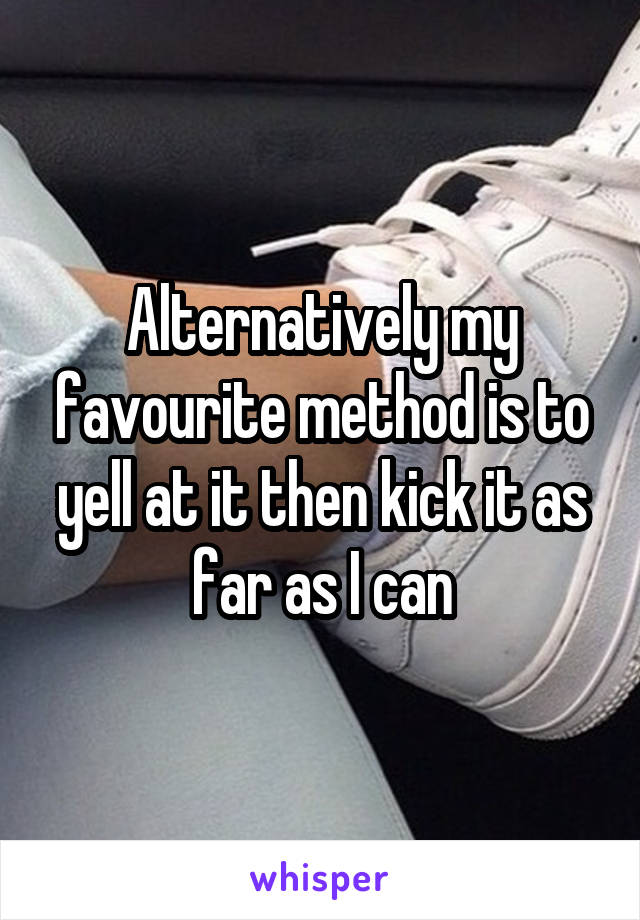 Alternatively my favourite method is to yell at it then kick it as far as I can