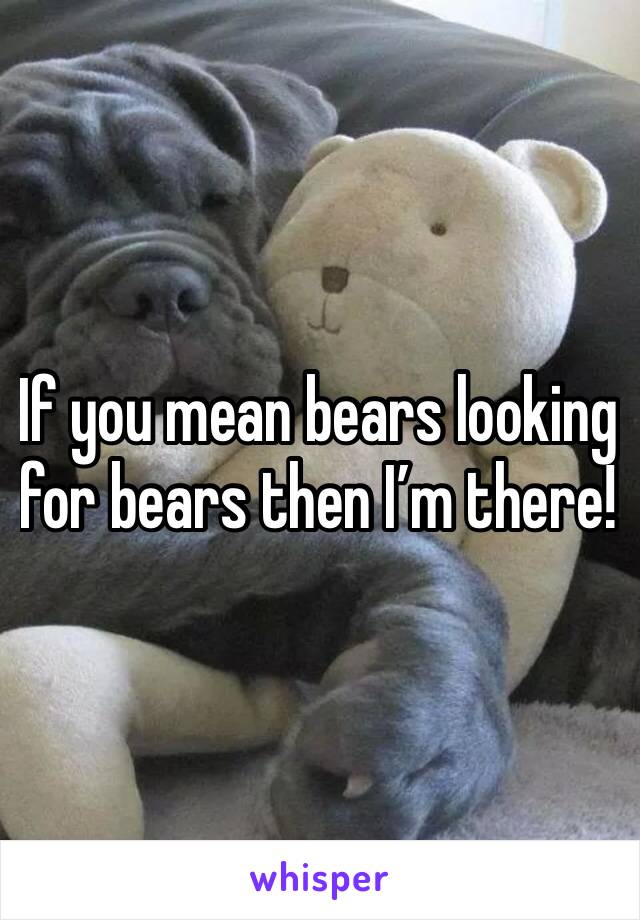 If you mean bears looking for bears then I’m there!
