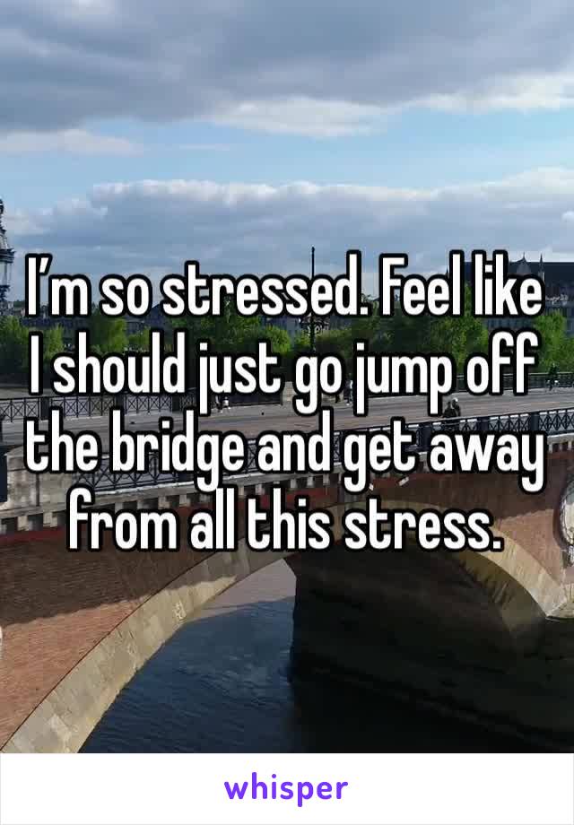 I’m so stressed. Feel like I should just go jump off the bridge and get away from all this stress. 