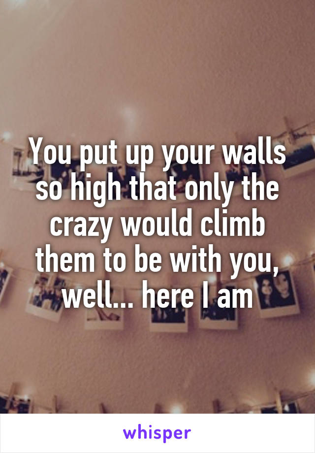 You put up your walls so high that only the crazy would climb them to be with you, well... here I am