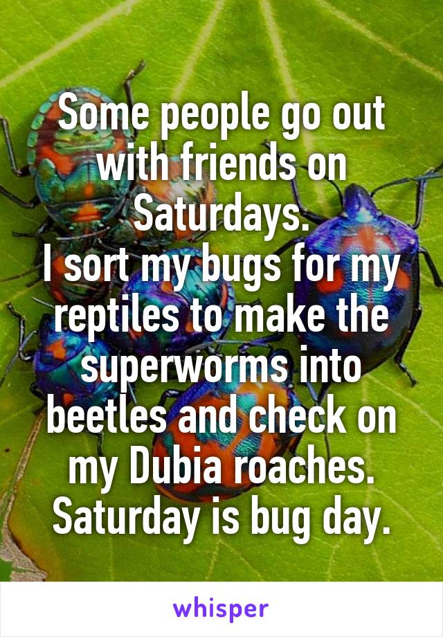 Some people go out with friends on Saturdays.
I sort my bugs for my reptiles to make the superworms into beetles and check on my Dubia roaches.
Saturday is bug day.