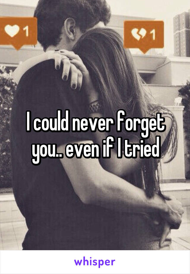 I could never forget you.. even if I tried