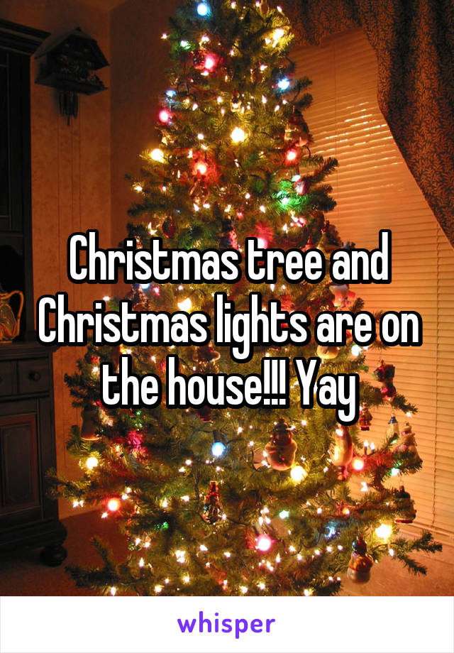 Christmas tree and Christmas lights are on the house!!! Yay