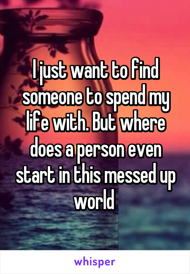I just want to find someone to spend my life with. But where does a person even start in this messed up world 